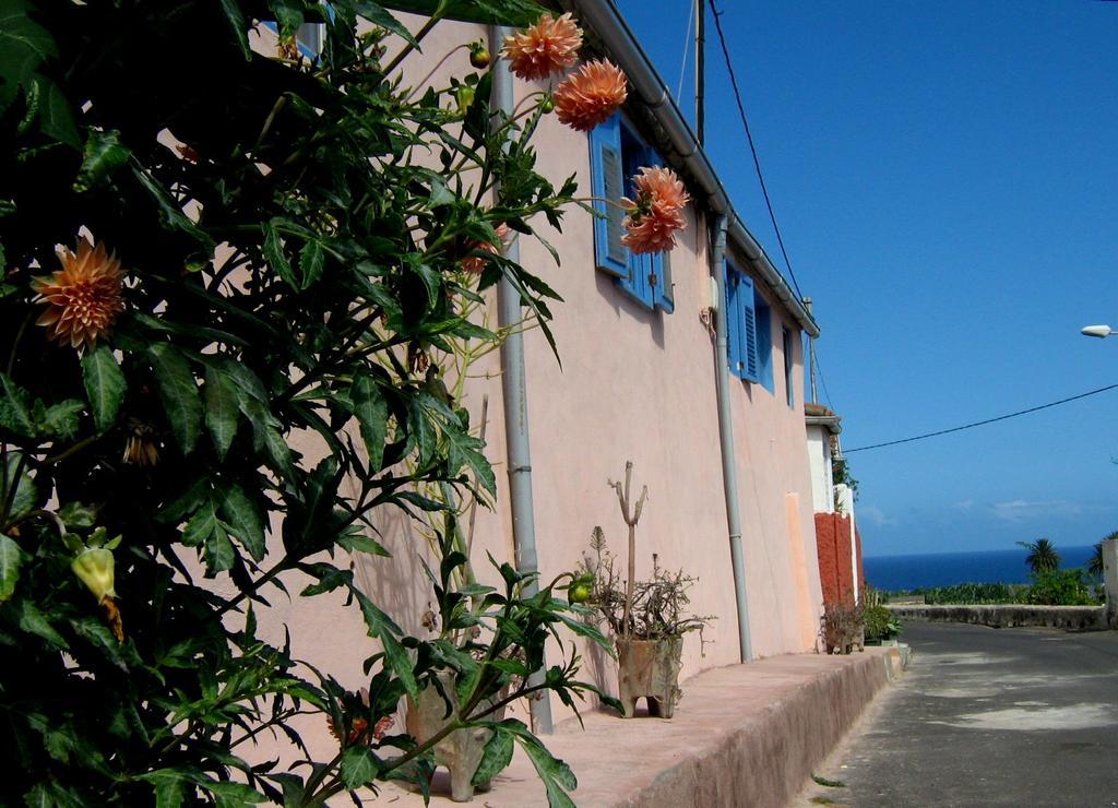 Casa Coronela Villa Garachico  Kültér fotó
